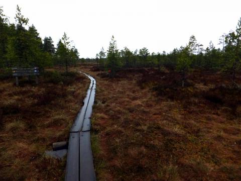 Park Kurjenrahka a rozcestník