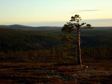 Finské Laponsko Finské Laponsko