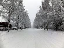 Finská zima Finská zima